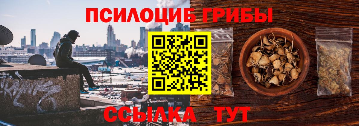 Карталы  магазин продажи наркотиков  Псилоцибиновые грибы Magic Shrooms  Вход с VPN  Галлюциногенные грибы мухоморы 