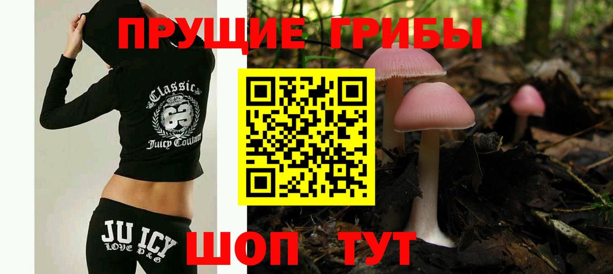 Галлюциногенные грибы MAGIC MUSHROOMS Карталы